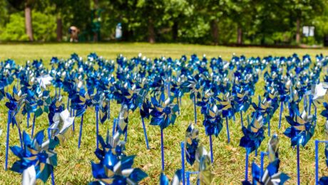 Pinwheels